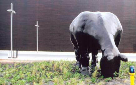 Kuh vor Pavillon der Niederlande